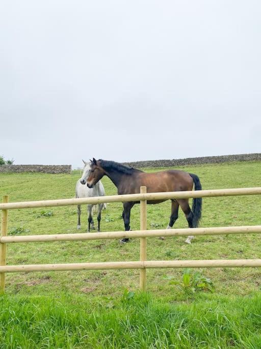 Luxury Detached Peak District Stone Barn - Dog Friendly Βίλα Hazelwood Εξωτερικό φωτογραφία
