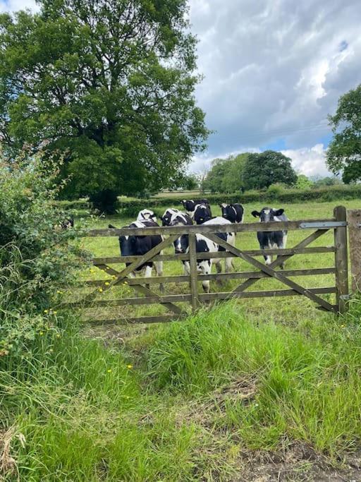 Luxury Detached Peak District Stone Barn - Dog Friendly Βίλα Hazelwood Εξωτερικό φωτογραφία